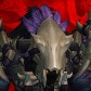 Winterhide