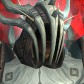 Raizôr avatar