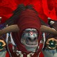 Jaillerr avatar