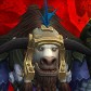 Elderorg
