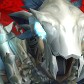 Doneskimento