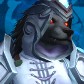 Holyshihtzu avatar