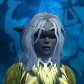 Nightnelf avatar