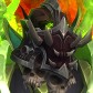 Mauganra