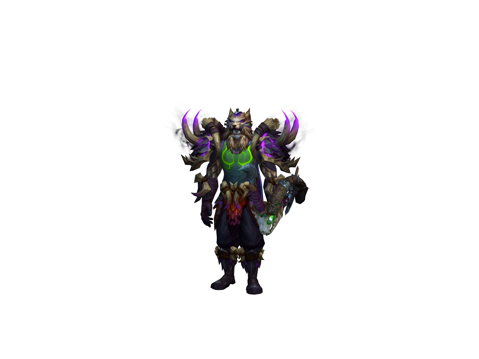 Toyflechaoo