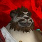 Xienho