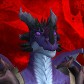 Socërdota