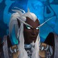 Shellvoid