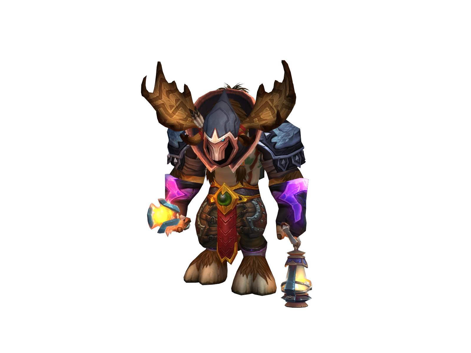Nöt