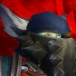 Thatfox avatar