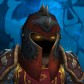Vizsla avatar