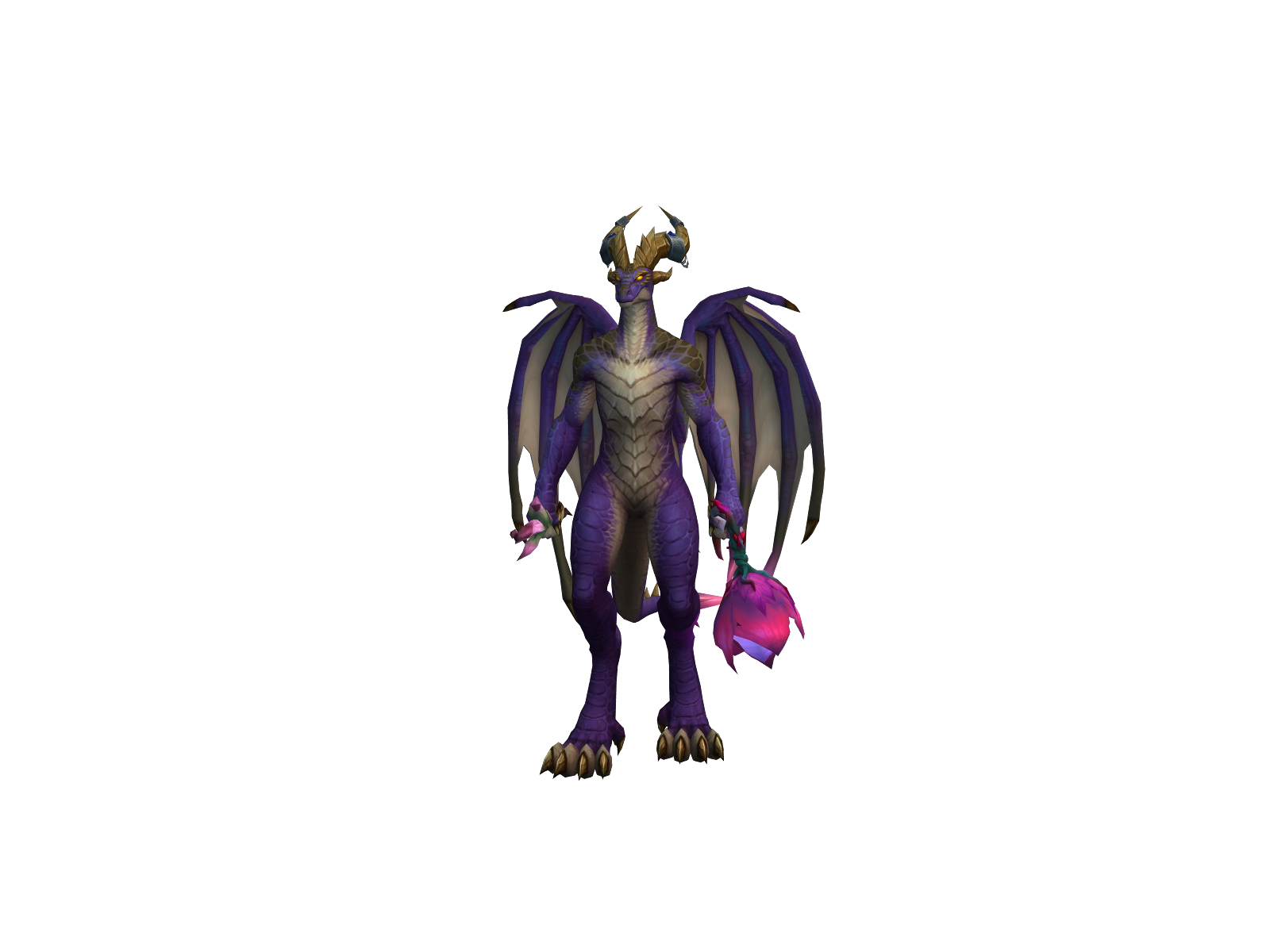 Wardiquus
