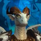 Neritrhra avatar