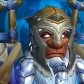 Dorfshammy avatar