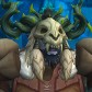 Ravfury avatar