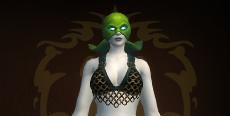 Tinybigdog's icon