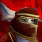Hecticfox avatar