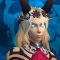 Chaoticaa