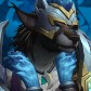Selynx