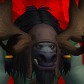 Moorpheús avatar