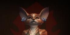 Fotmpocket's icon