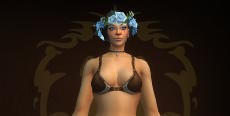 Comfywomfy's icon