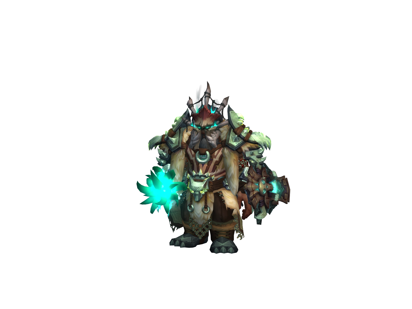 Dwarfzohr