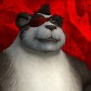 Springbelly avatar