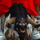 Drwinston-sunstrider