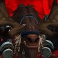 Exybronzeguy avatar