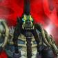 Coldkilla avatar