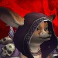 Wafflle avatar