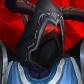 Éch avatar