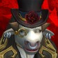 Nelsonrogue
