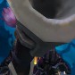 Shortypew avatar