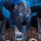 Danzkur avatar