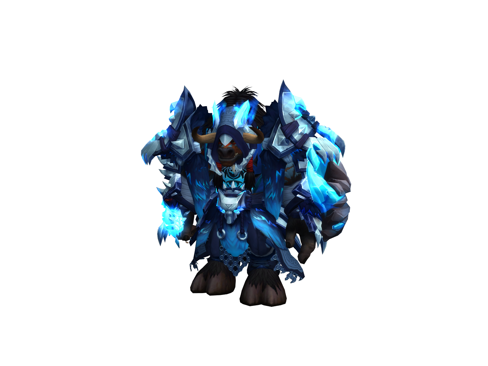Alcasii