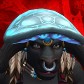 Raredruid
