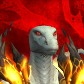 Bigdumbbald avatar