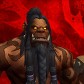 Rakrok