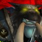 Jaktslakt avatar