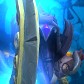 Nytemare avatar