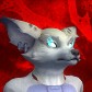 Epidemicfox