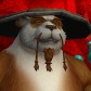 Chahó avatar