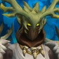 Druidzor