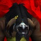 Wowmaunk avatar