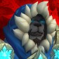 Pandamodiam