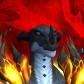 Dragginnuts avatar
