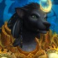 Miettewouaf avatar