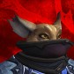 Snoppninja